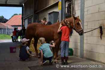 Vlotho: Kinder schnuppern Bauernhofluft