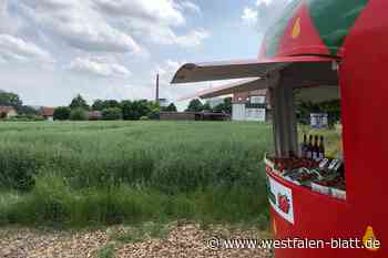 Bünde: Aus Acker wird Bauland