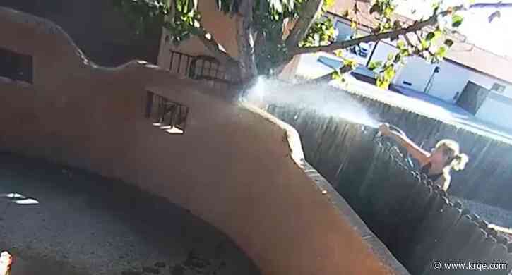 Albuquerque 'nightmare neighbor' enters plea