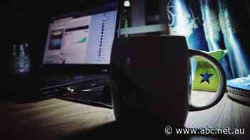 Australia vs the internet: What can the government do to fight online misinformation?