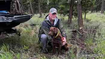 With the help of search dogs, volunteer group continues nearly 2-year search for missing B.C. woman