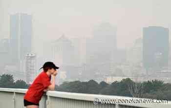 Forest fire centre declares 2023 already worst year ever for Canadian wildfires