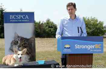 B.C. government dishes out $12 million for 4 new SPCA shelters