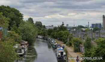 Boy, 17, stabbed and left for dead in London canal dies despite rescue attempt