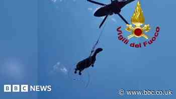 Horse airlifted to safety from deep Italian pit