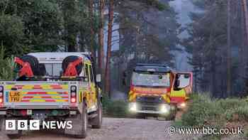 Large fire sweeps through Hartley Wintney forest