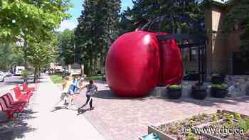 RedBall Project bounces into Saskatoon