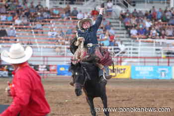 Eckville’s Ben Andersen leads saddle bronc at Ponoka Stampede