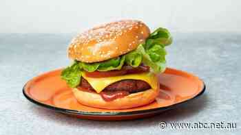 Plant-based meat is already out there — now real meat grown in a lab could soon be on the grocery list