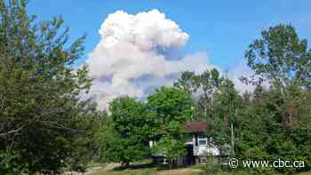 Wildfire near Leaf Rapids, Man., prompts town to organize evacuation