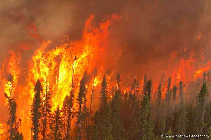 June 26, 2023 – Northeast District Wildfire Report