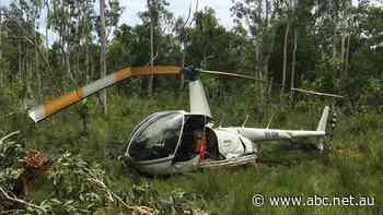 Federal police asked to investigate possible criminal charges over helicopter crash that killed Chris 'Willow' Wilson