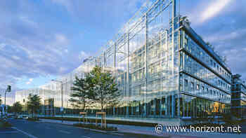 Werbemarkt ist "implodiert": DuMont steigert Umsatz und Ergebnis