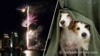How to keep your pets calm during fireworks