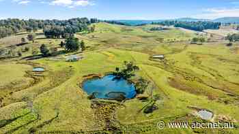 As cattle prices dive, this seventh generation farmer has decided to sell up