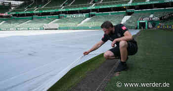 Die Greenkeeping-Hochsaison