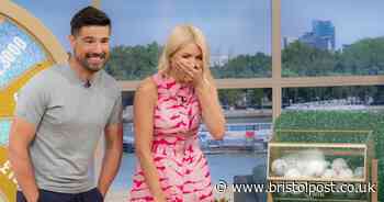 Holly Willoughby blames Elton John for This Morning absence and her croaky voice as she says she's been 'officially Glasto'd'