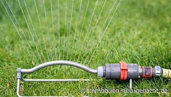 Trotz Sommerhitze: So bleibt der Rasen gesund und grün