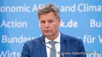 „Rollkommando“: Habeck entschuldigt sich