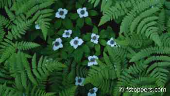 The Beauty of the Subtle in Landscape Photography