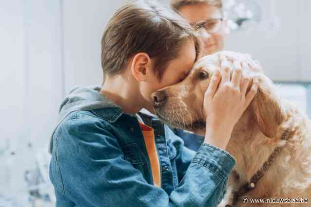 Vlaamse primeur: huisdieren kunnen op bezoek komen als hun baasje in het ziekenhuis ligt