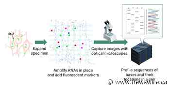 Weissman Lab &amp; Fixstars Solutions to Explore Bone Marrow Research Using Expansion Sequencing
