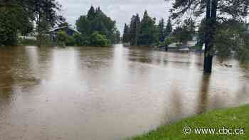 After the flood: Alberta communities assessing damage as water levels recede