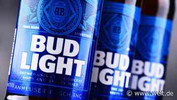 Abgestraft für Transgender-Werbung – der verzweifelte Kampf von „Bud Light“