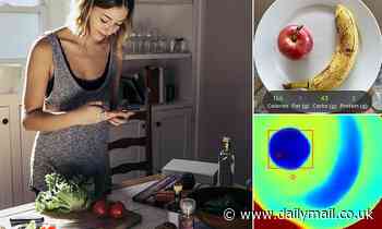 New app SnapCalorie made by ex-Google engineer calculates calories in any meal by scanning a photo