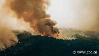 Canada to release updated climate adaptation strategy today