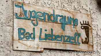 Jugend in Bad Liebenzell: Gestalten eines Hinterhofs ist nächstes Projekt