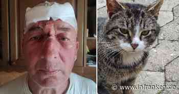 Ludwigschorgast: Erst wird sein Kater überfahren - dann wird 63-Jähriger selbst zum Unfallopfer