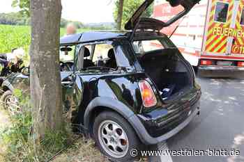 Mutter kracht mit drei Kindern im Auto gegen Baum