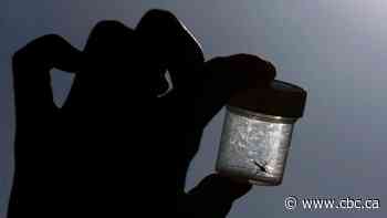 First locally acquired malaria cases diagnosed in 20 years in U.S.