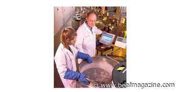 Bull progeny from pre-1997 brings new genetic benefits to light