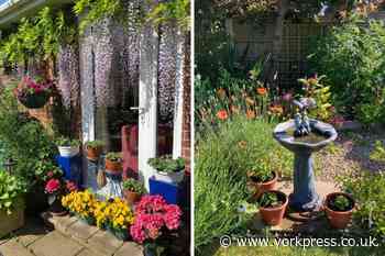 Nine gardens to open in Riccall raising money for St Leonard's Hospice