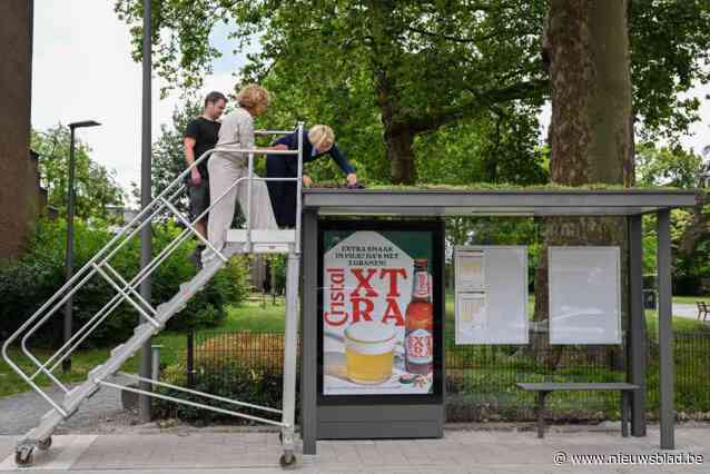 Eerste Antwerps wachthuisje met groendak staat in Hoboken