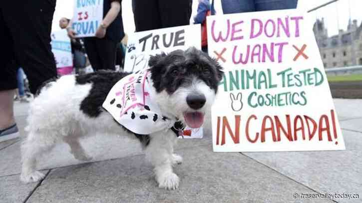 Canada bans testing of cosmetic products on animals