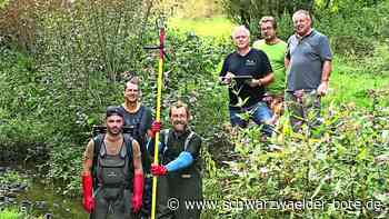 Vereinsjubiläum: Die Verbundenheit zur Natur begeistert die Fischerfreunde schon 20 Jahre lang