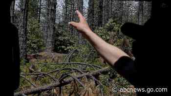 US push to lower wildfire risk across the West stumbles in places