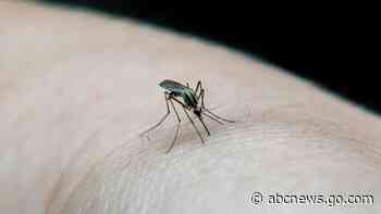 The 2 US states where malaria cases have been reported