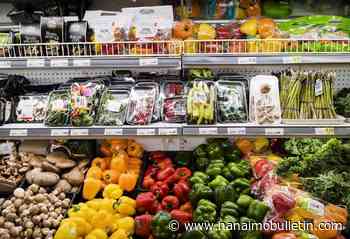 Canada needs more grocery competition, federal watchdog finds