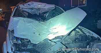 Two horses killed by hit-and-run driver near Grayslake