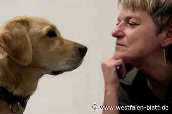 Assistenzhund durfte zunächst nicht in Herforder Supermarkt