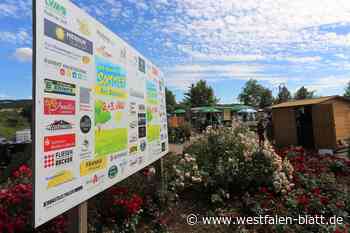 Hier trifft man sich: Bad Holzhauser Sommer bietet Attraktionen für Groß und Klein