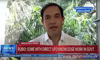 Senator Marco Rubio says officials with 'high clearances' have 'knowledge' of UFO craft retrievals