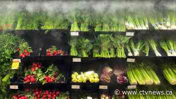 Canada inflation: Here's what will cost you more at the grocery store