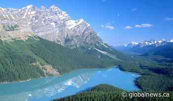 Hiker injured in Banff National Park fall, airlifted to Calgary
