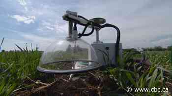 How an Alberta project is helping farmers reduce greenhouse gases and maintain crop yield