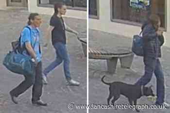 Police appeal after woman robbed and assaulted in Blackpool